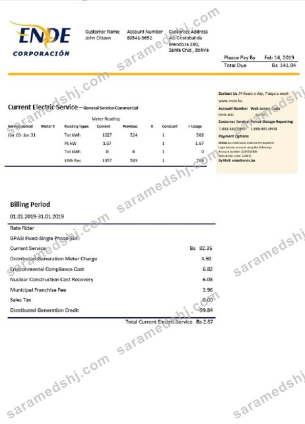 Bolivia ENDE Corporacion electricity utility bill